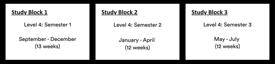 Second year page graphic-1 Second year page graphic-1