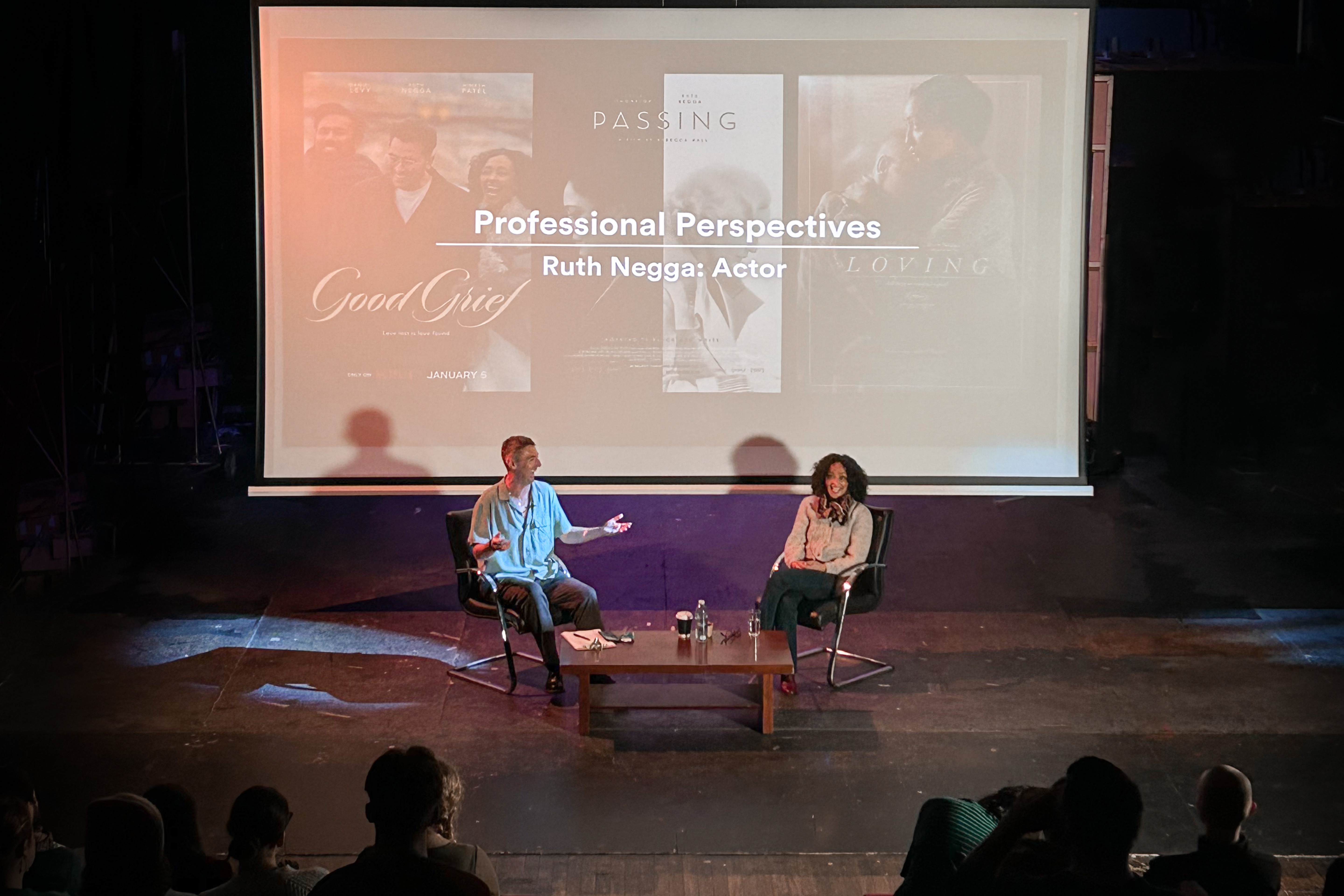 Professional Perspectives 2